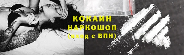 дживик Богородск