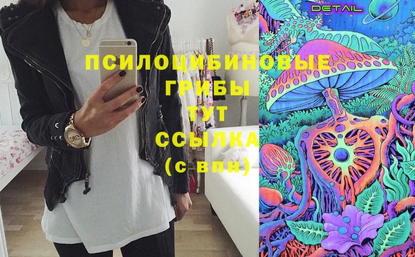 эйфоретик Богородицк