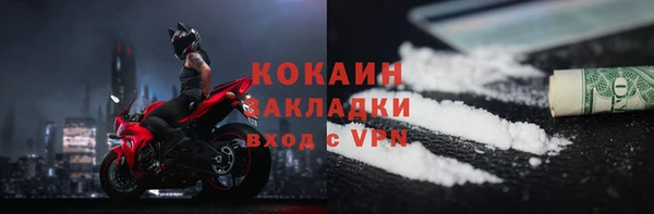 дживик Богородск