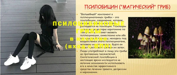 дживик Богородск