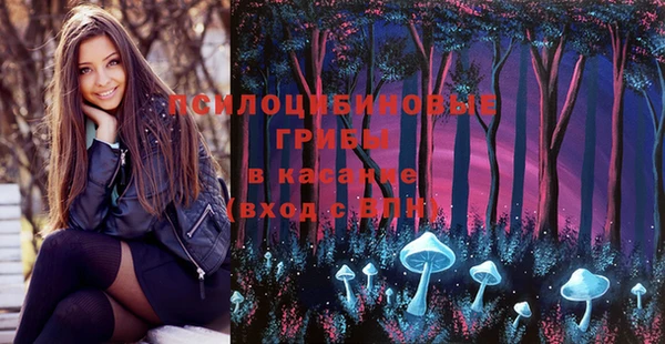 эйфоретик Богородицк